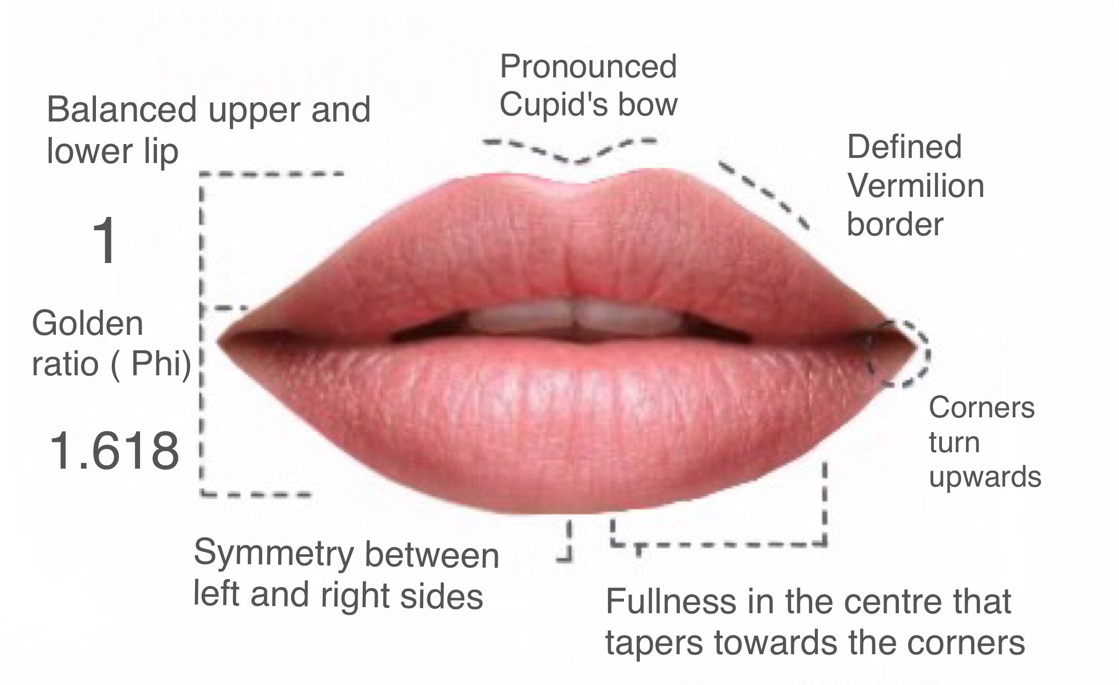 Juju Lips Definition Lipstutorial Org