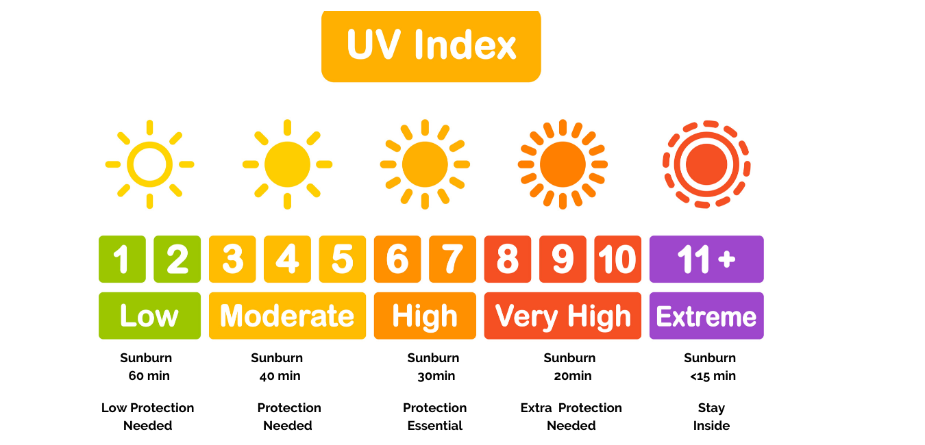 Sun Protection – Induction Therapies